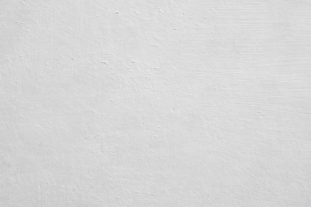 Best Mold Damage Restoration  in Mogul, NV