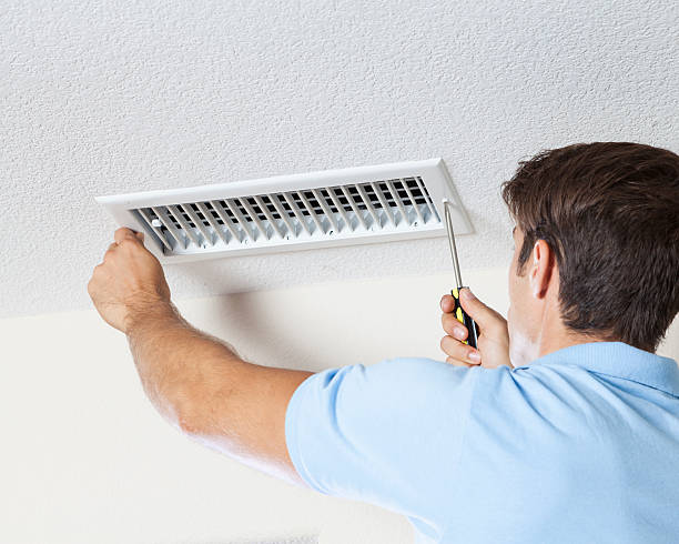 Reliable Mogul, NV Mold Removal Solutions